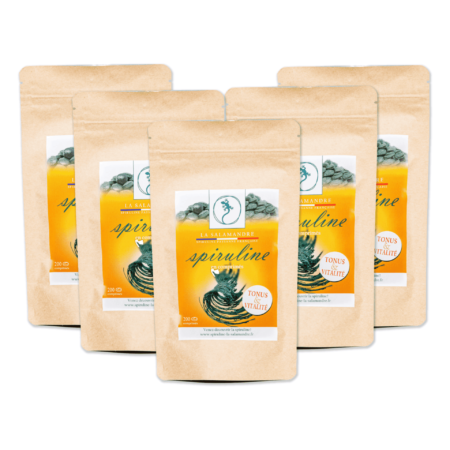 Lot de 5 sachets de 200 comprimés