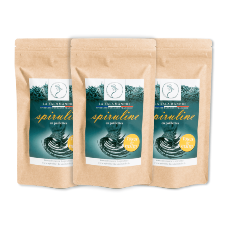 Lot de 3 sachets brindilles 3*100g