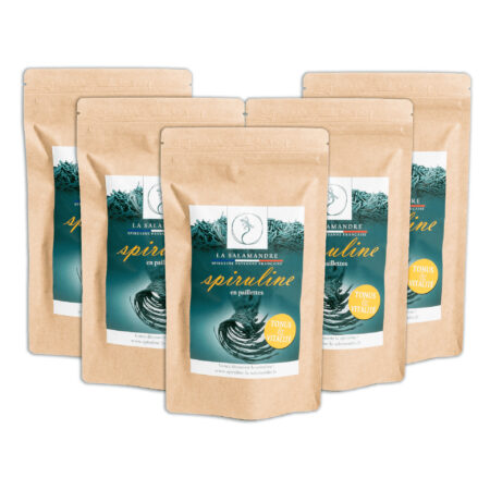 Lot de 5 sachets brindilles 100g